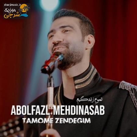 دانلود آهنگ ابوالفضل مهدی نسب تموم زندگیم