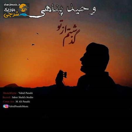 دانلود آهنگ وحید پناهی گذشتم از تو