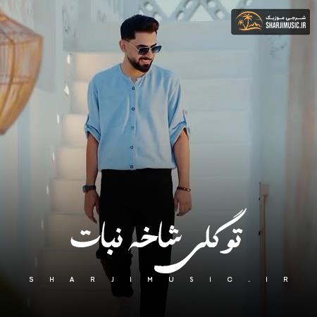 دانلود آهنگ تو گلی شاخه نبات